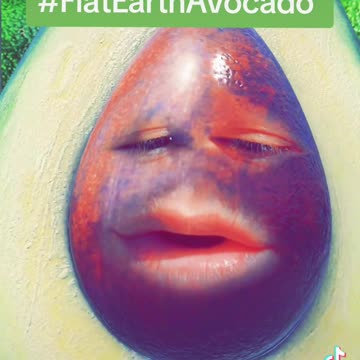 Flat Earth Avocado 🥑 [Episode 1]