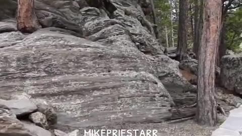 MOUNT RUSHMORE STONE OR WOOD?