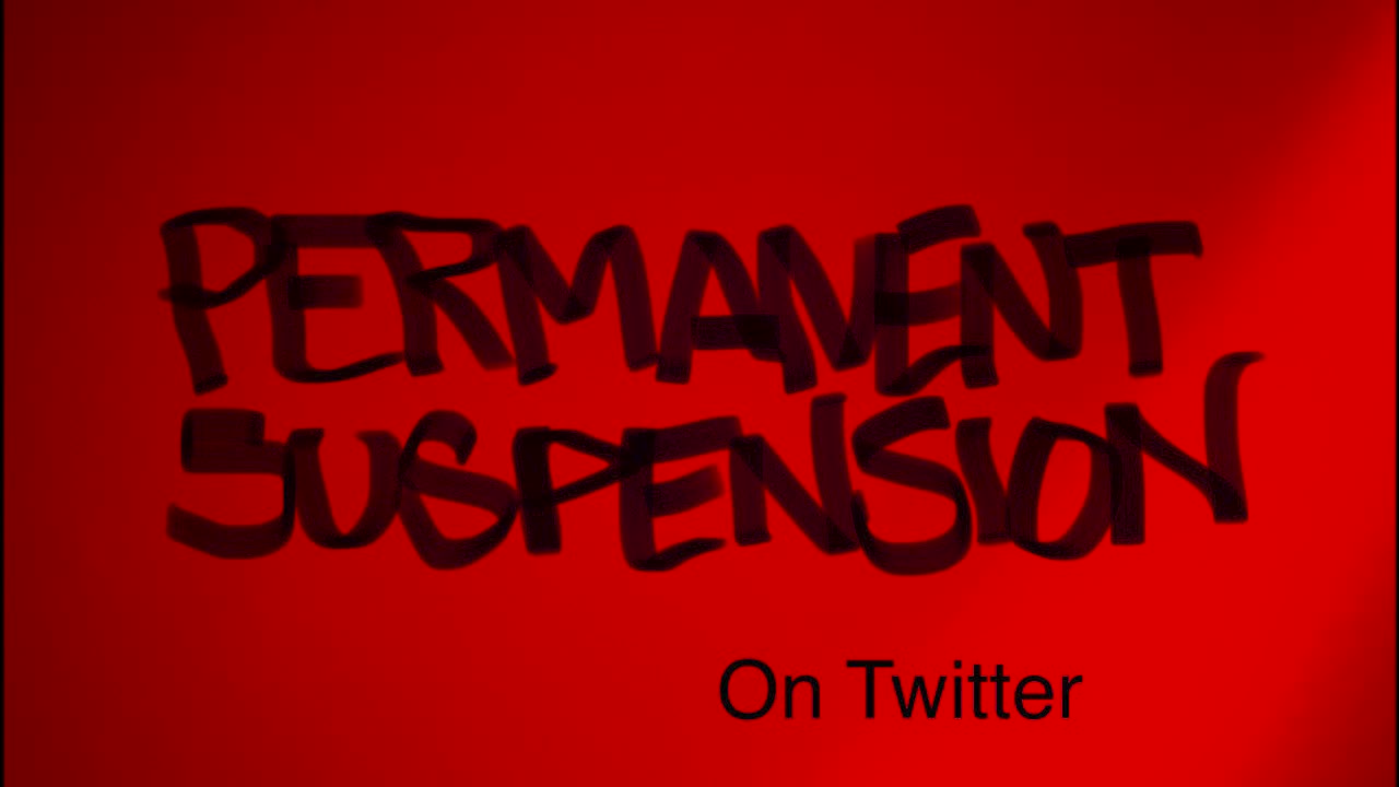 Permanent Suspension X #1