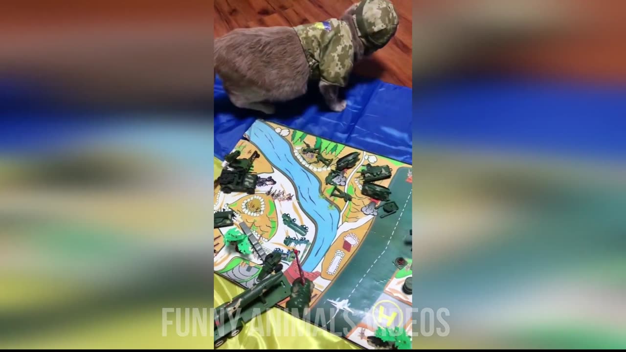 FUNNY_ANIMAL_VIDEOS_CLEAN_NO_SWEARING_1_HOUR(128k).mp3