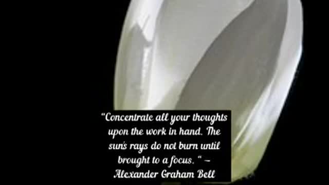 Concentrate all your thoughts upon the work in hand The sun's rays do not burn until brought to a f