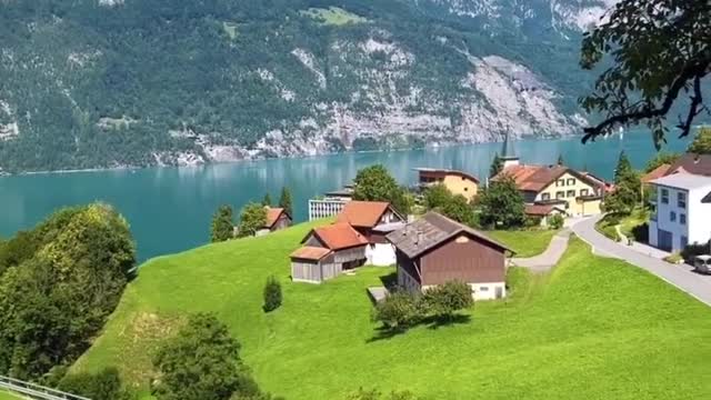 Share it with everyone