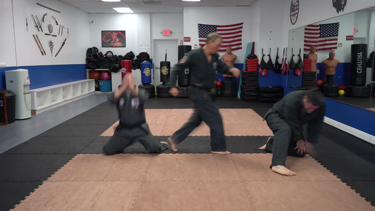 An example of the American Kenpo technique Courting the Tiger