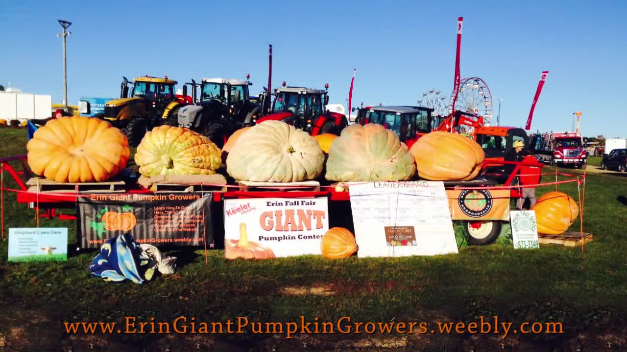 How to Carve a Pumpkin - Atlantic Giant Pumpkin