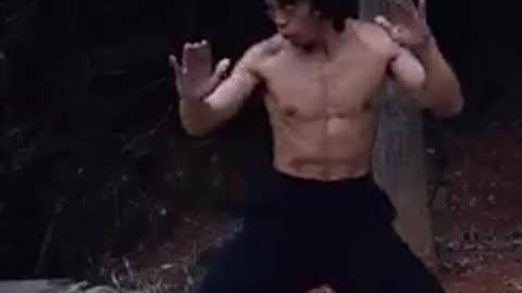 Kunfu master ka video