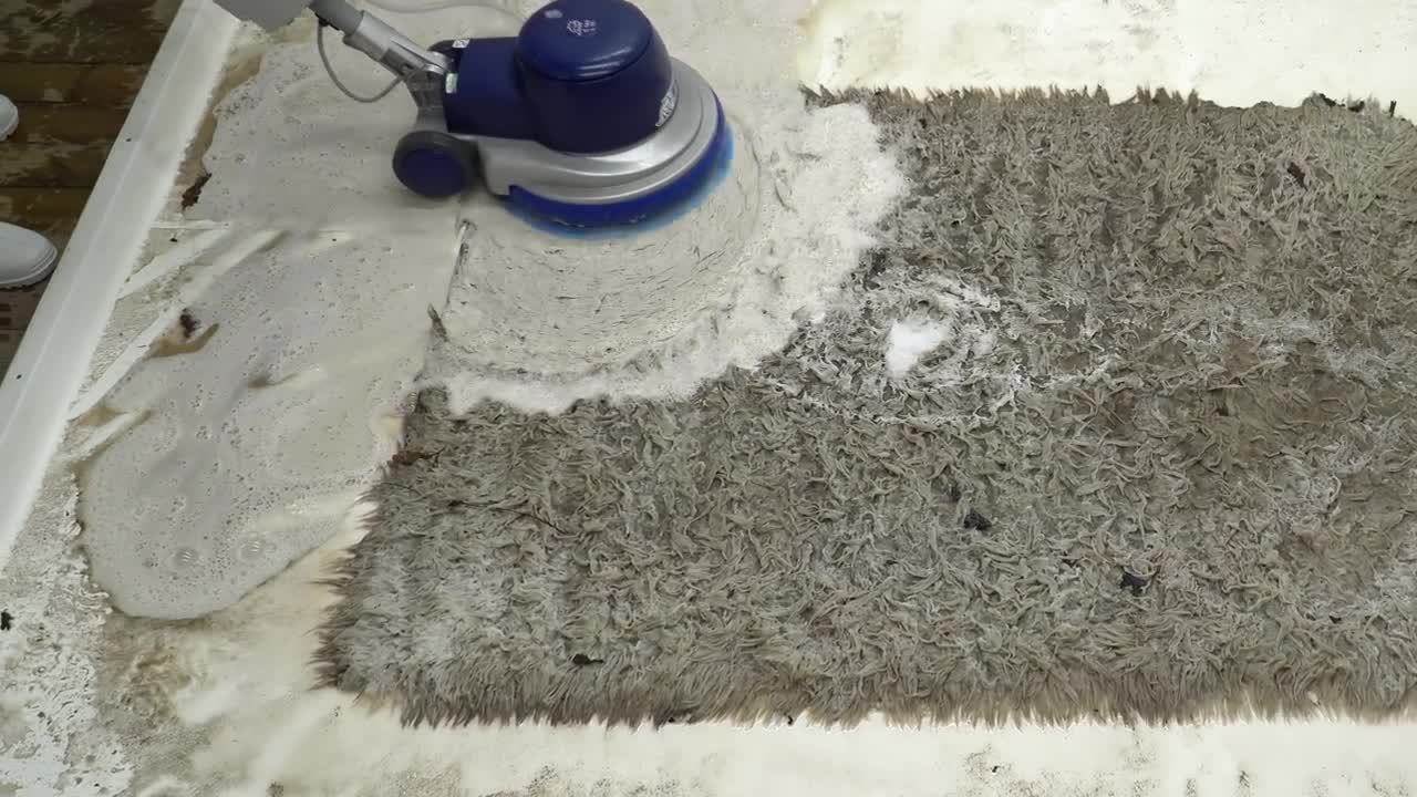 Maggot Infested Rug - Pure ASMR Sounds