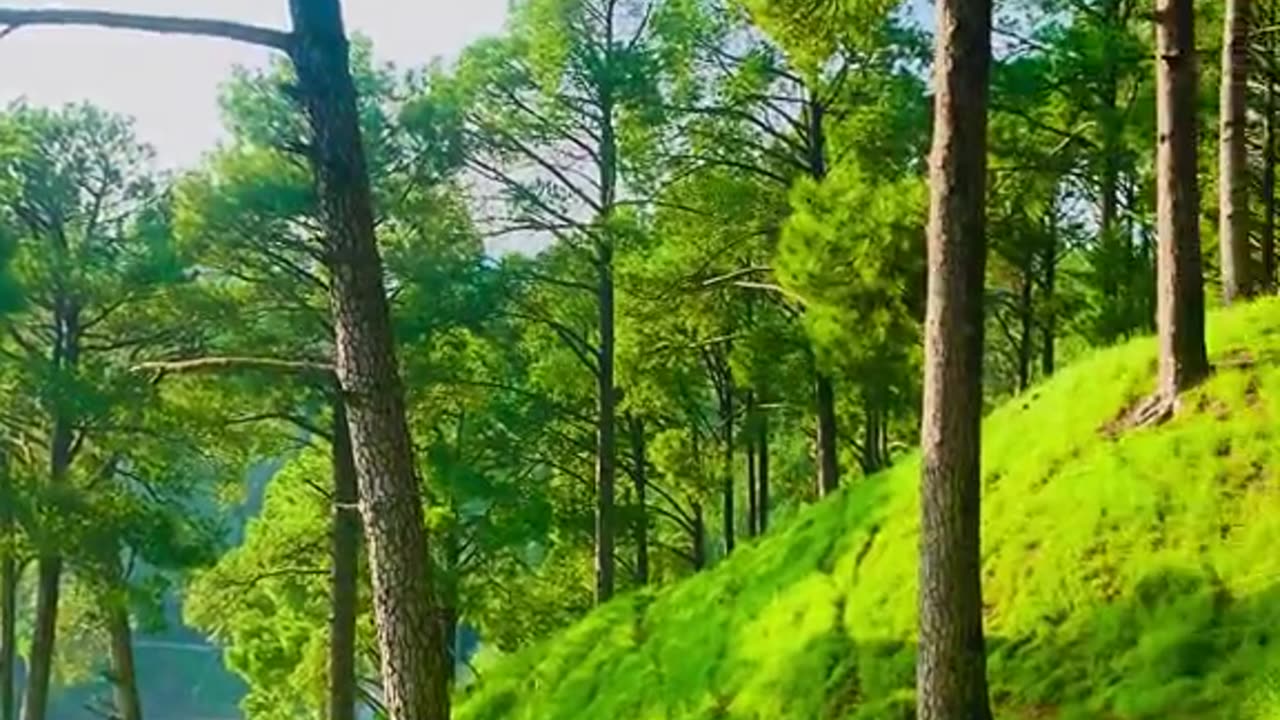 Beauty of pakistan