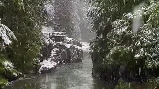 The amazing feeling of the first snow of the season ❄️