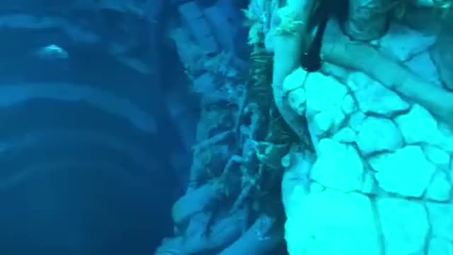 Deep Dive Dubai