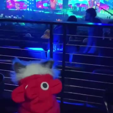 Slime-o-rama! Puff goes to Kids Choice awards!