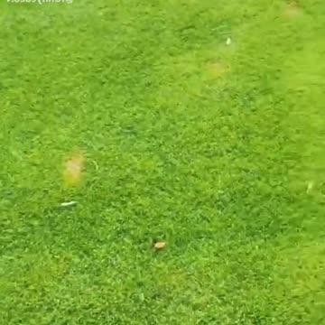 no moderating condemnation