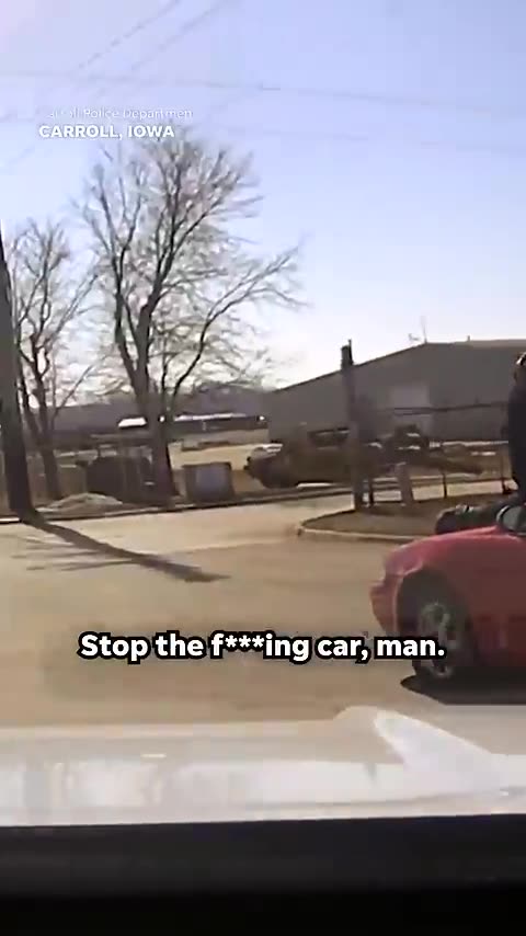 Stop the car!': Man attempts to evade police with officer clinging to windshield