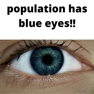 All Blue-eyed people are related