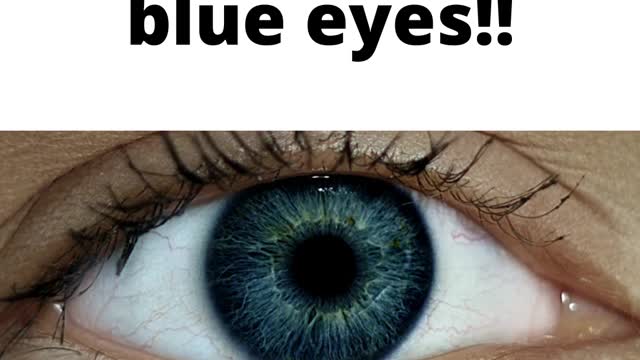 All Blue-eyed people are related