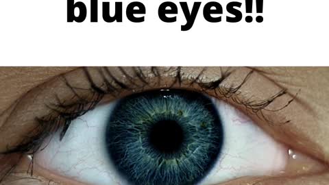 All Blue-eyed people are related