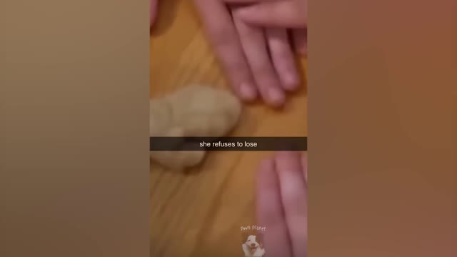 this will make you laugh