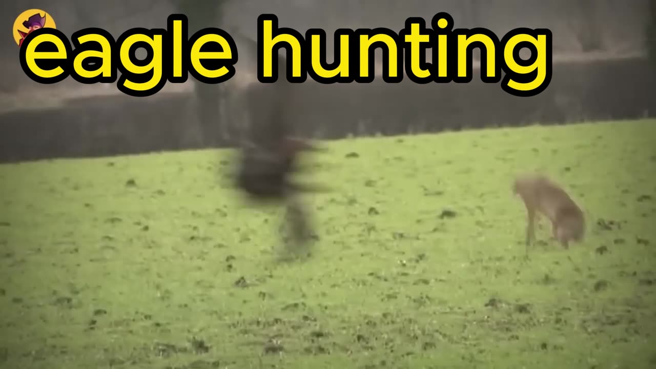 animal hunting skills
