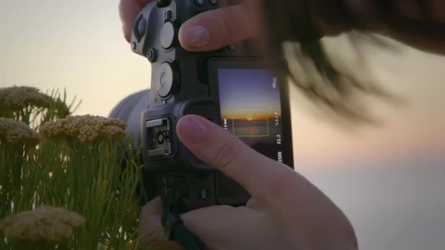 Step into the creative world of Canon EOS RP_Cut