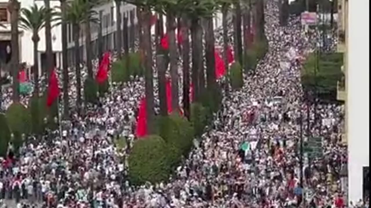 MOROCCO SUPPORTS PALESTINE