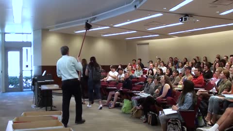 chasing a moth, a math professor damages the projector