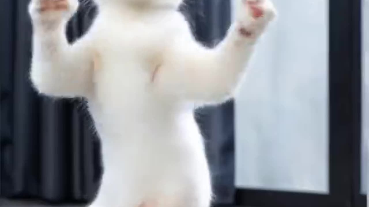 Funny Animals Caught on Camera - Epic Fails & Laughs!