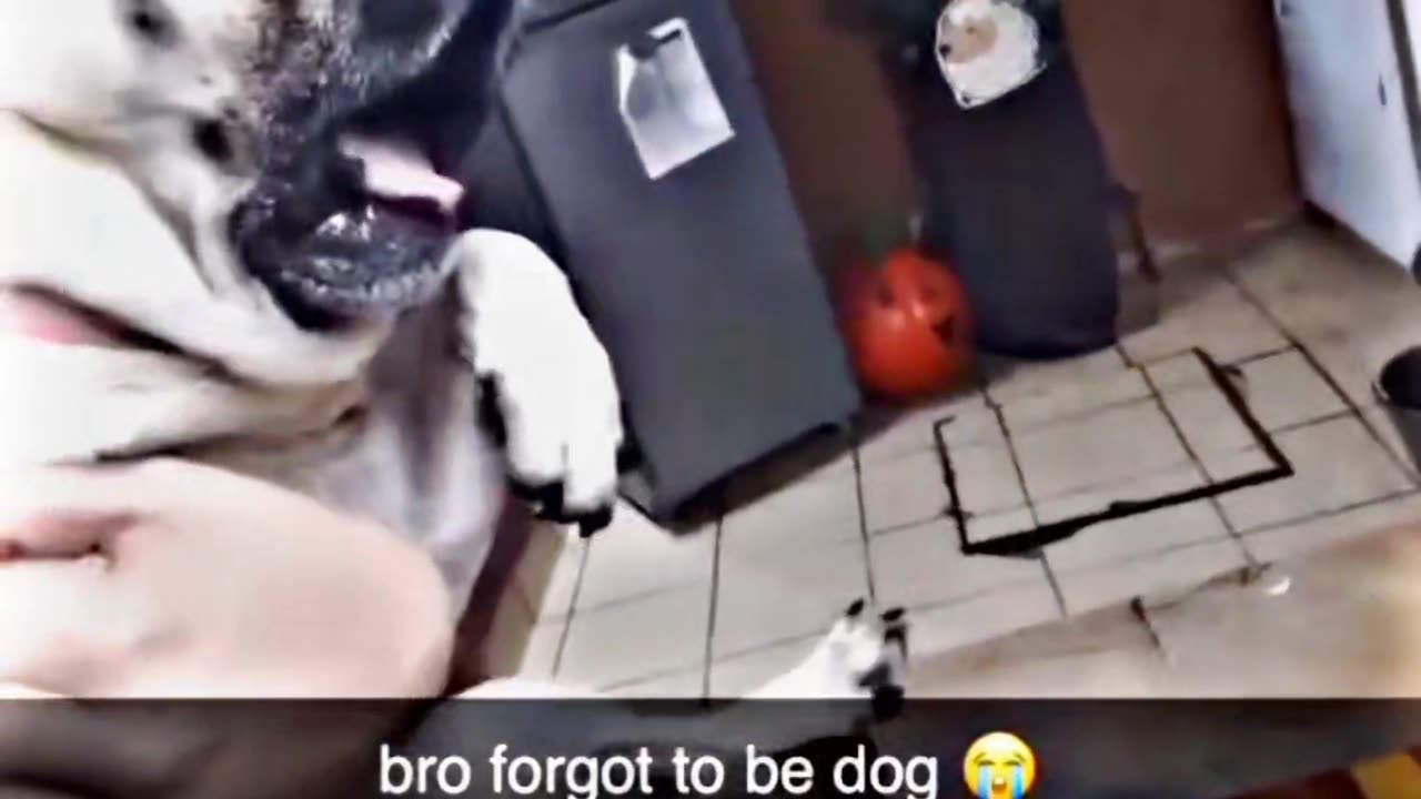 🤣🤣🤣