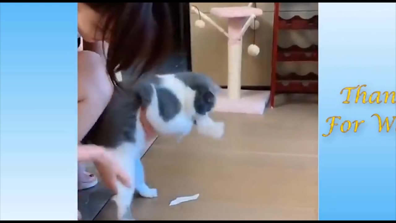Cute funny animals | Animal comedy | Try not to Laugh