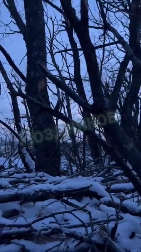 UA POV: 27-11-23. UA soldier: "That's how Russians wake us up". Playing loud music in the morning.