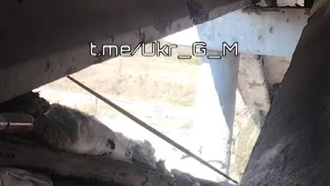 Ukraine counteroffensive