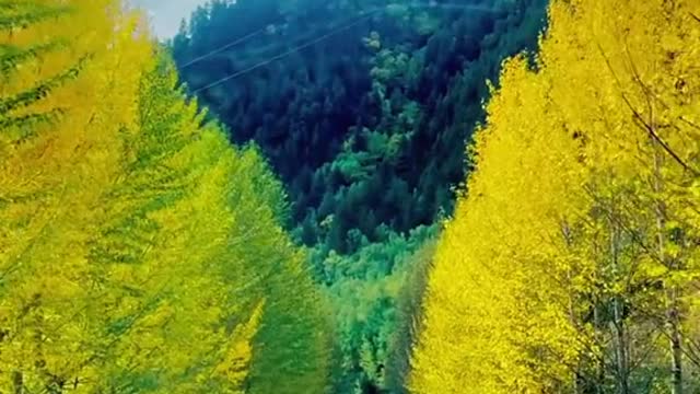 Go out to travel, not to see the scenery, but to find the most true self
