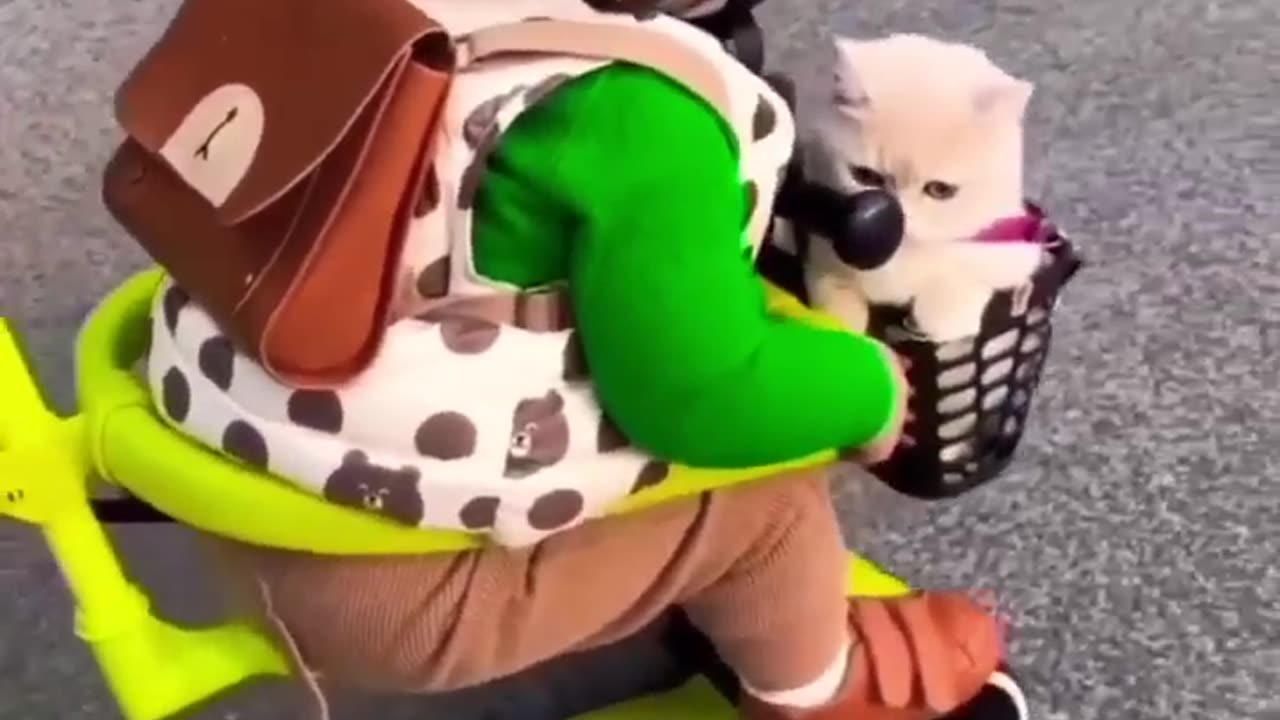 Funny Short Clip1