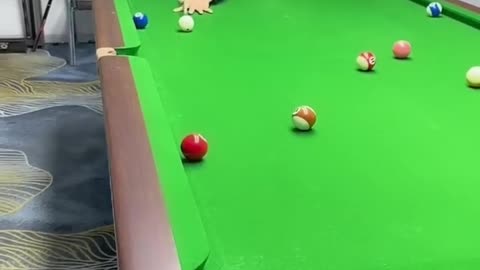 FUNNY BILLIARDS VIDEOS😅😅😂