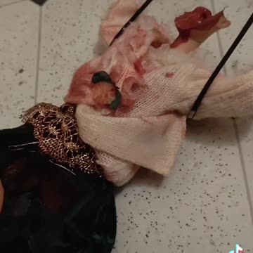 Don't mess with Barbie