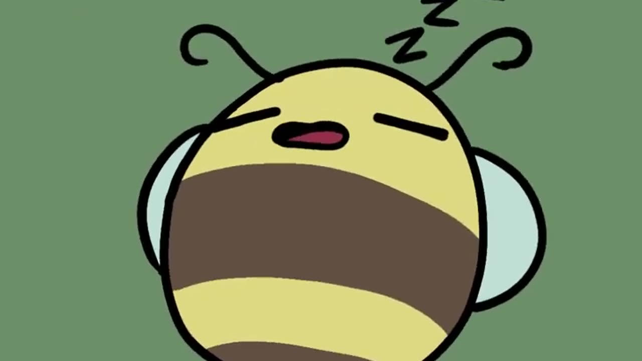 Bee wakes up