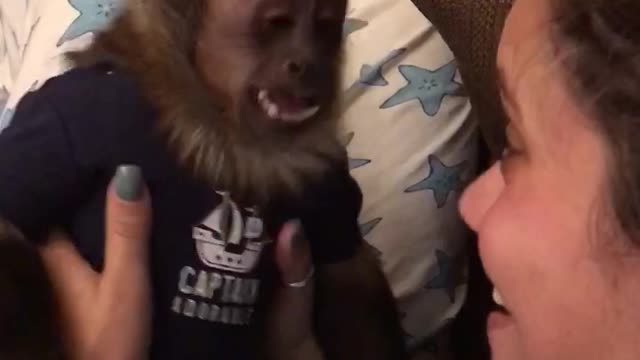 Russel the monkey and his human sister having a conversation