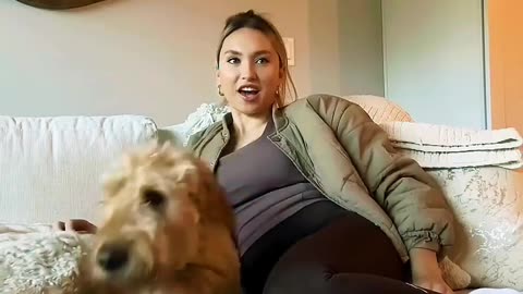 Dogs funny reaction girls and dogs