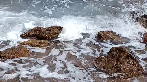 beach of red sea