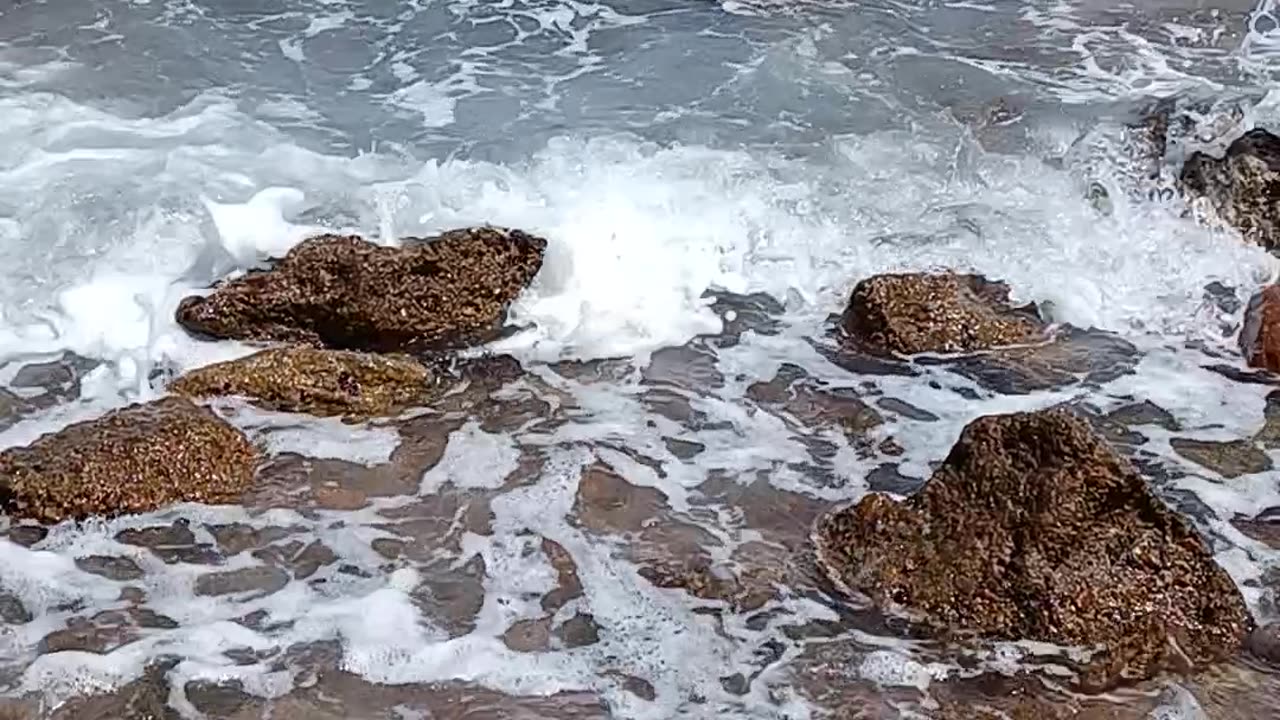 beach of red sea