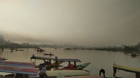 Dal lake