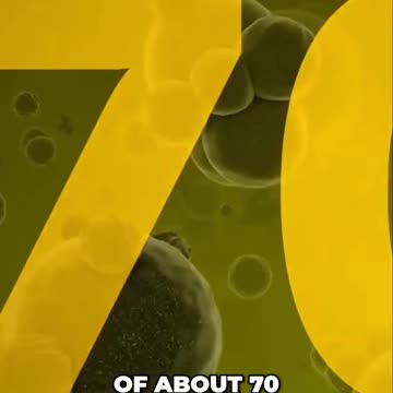 Unlocking the Secrets of Our Belly Buttons: The Fascinating World of Bacterial Life