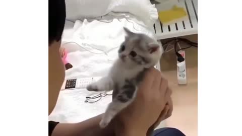 Funniest animals video- Cute 🥰 Cat's and Dogs 🐶😂😂