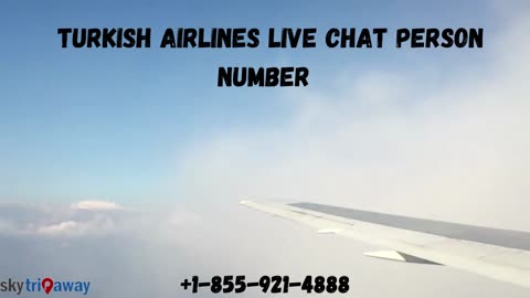 Learn how to connect with Turkish Airlines