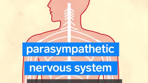What coronavirus stress does to the brain