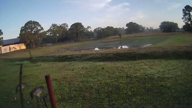 Copy of Sunrise At Venus Ranch.