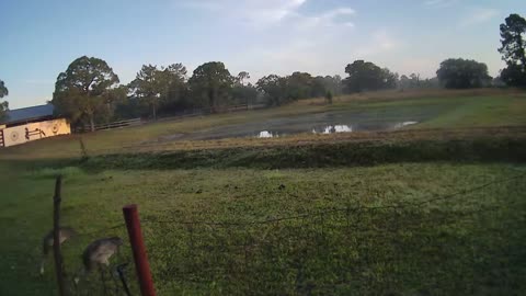 Copy of Sunrise At Venus Ranch.