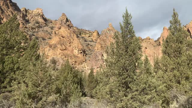 Central Oregon – Smith Rock State Park – Hiking in the Forested Canyon