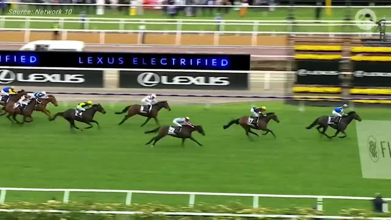 Gold Trip wins the Melbourne Cup 2022