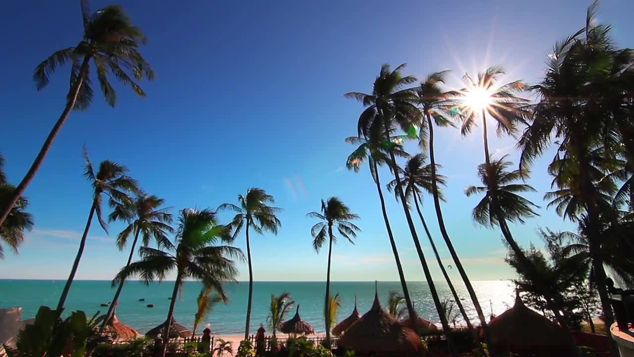 Beautiful coconut trees on the beach under blue sky and white clouds