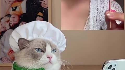 Puff!!! What are you doing with those 👁🥲 duet with