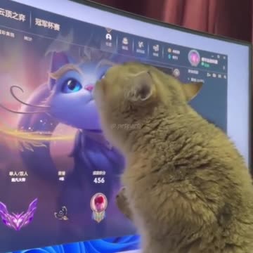 Be sure to see the end😂